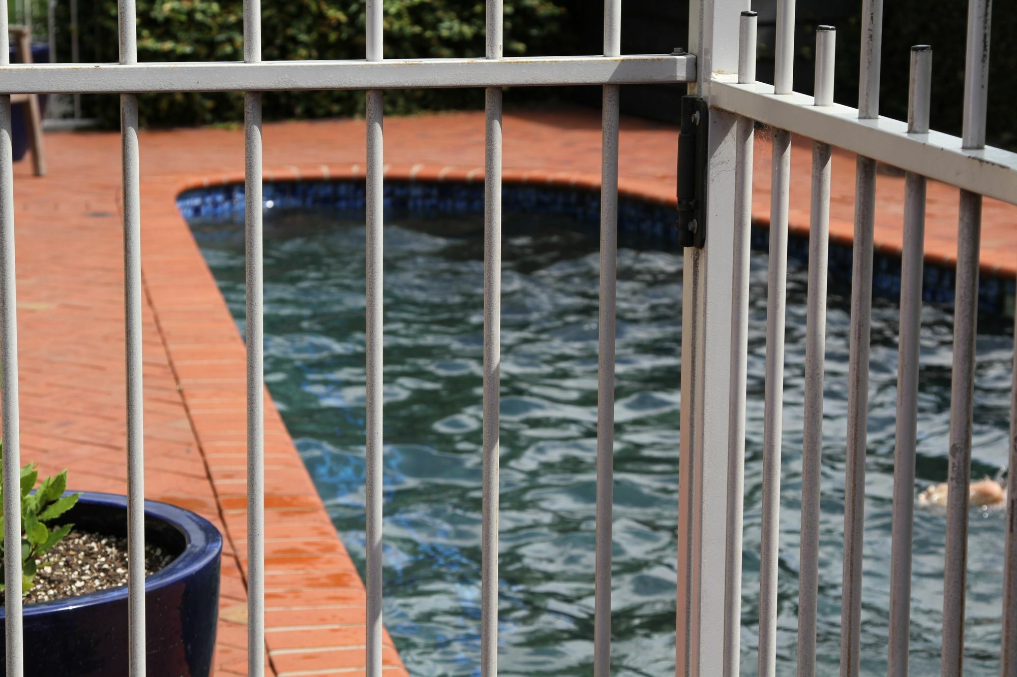 Quantum Lodge Motor Inn Hamilton Luaran gambar